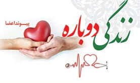 اهدای عضو1