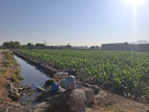 منابع ابی اصفهن
