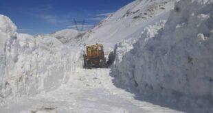 برف در شهرکرد