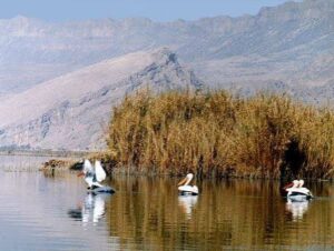 تالاب بابا علی مهاباد
